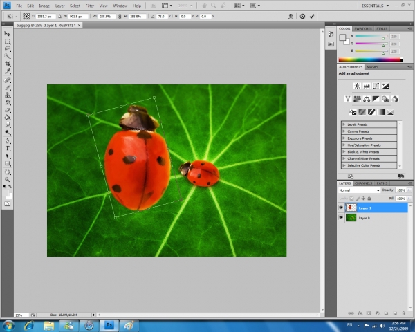 Creation of Robobug: Step 3